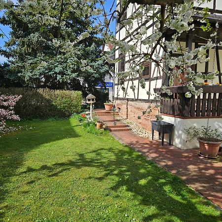 Apartments Am Saalebogen Mit Gartenterrasse, Grillkamin, Freie Parkplaetze 鲁多尔施塔特 外观 照片