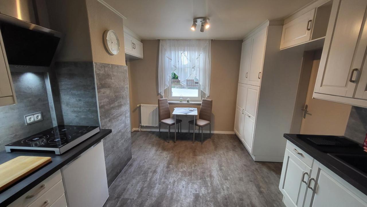 Apartments Am Saalebogen Mit Gartenterrasse, Grillkamin, Freie Parkplaetze 鲁多尔施塔特 外观 照片