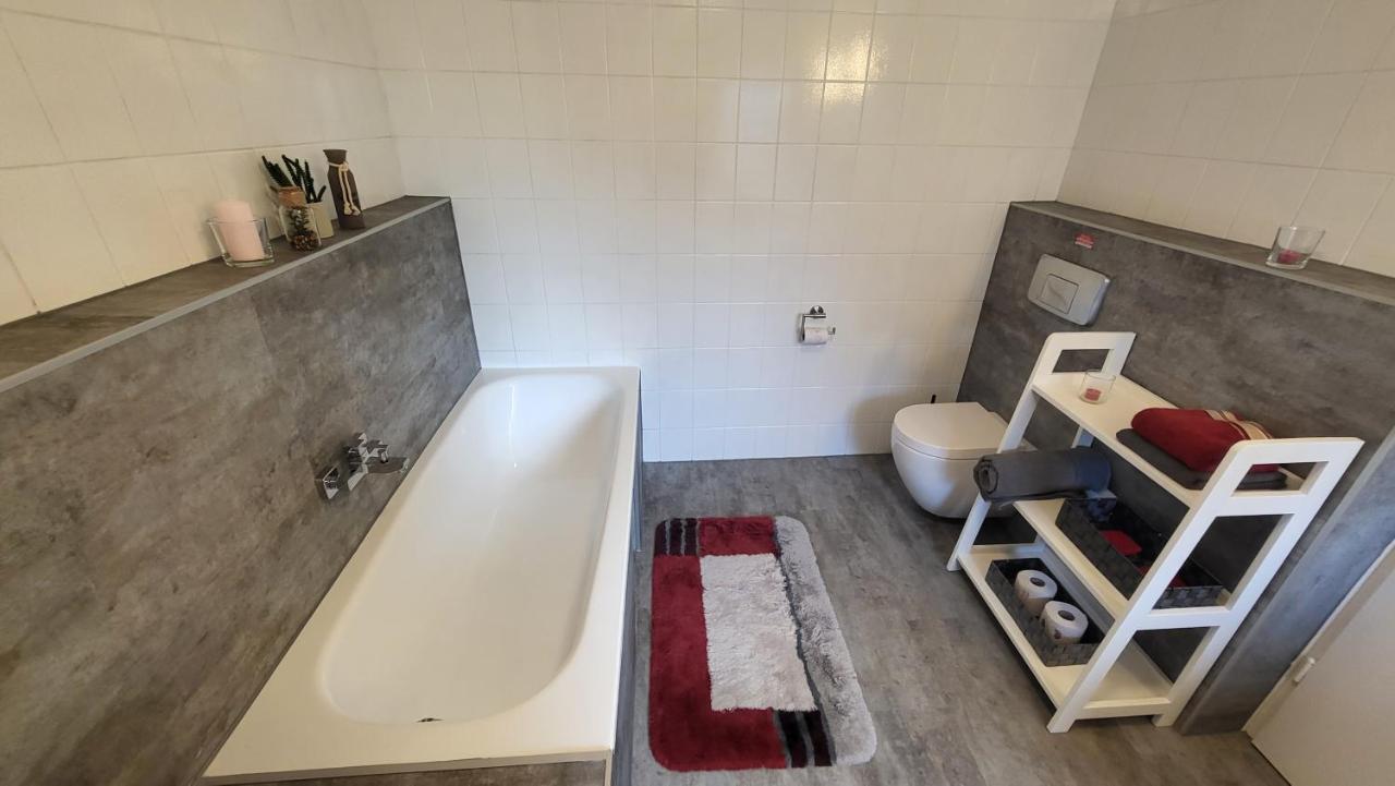 Apartments Am Saalebogen Mit Gartenterrasse, Grillkamin, Freie Parkplaetze 鲁多尔施塔特 外观 照片