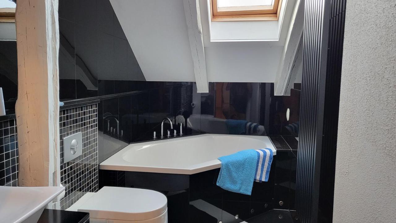 Apartments Am Saalebogen Mit Gartenterrasse, Grillkamin, Freie Parkplaetze 鲁多尔施塔特 外观 照片