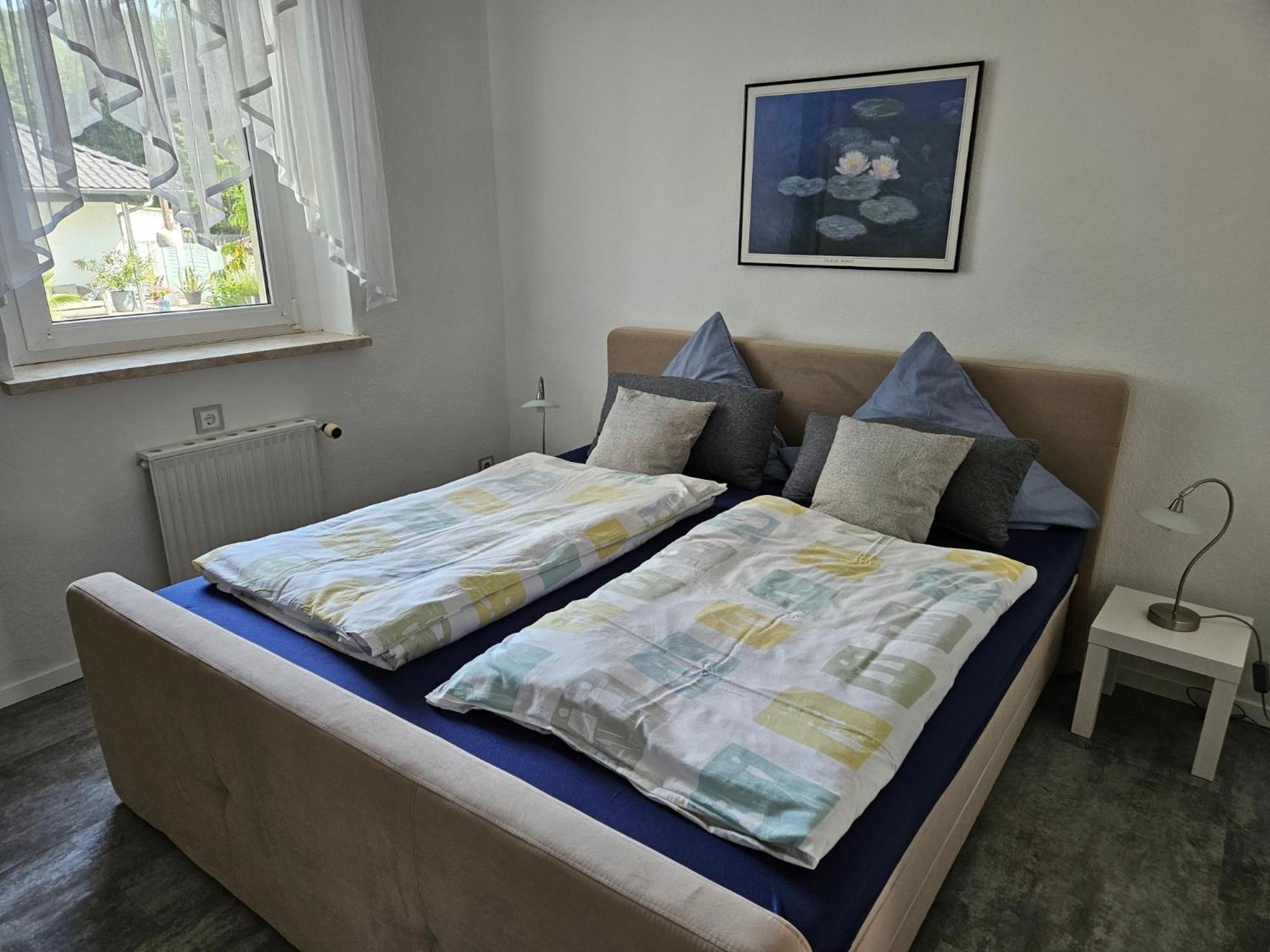 Apartments Am Saalebogen Mit Gartenterrasse, Grillkamin, Freie Parkplaetze 鲁多尔施塔特 外观 照片