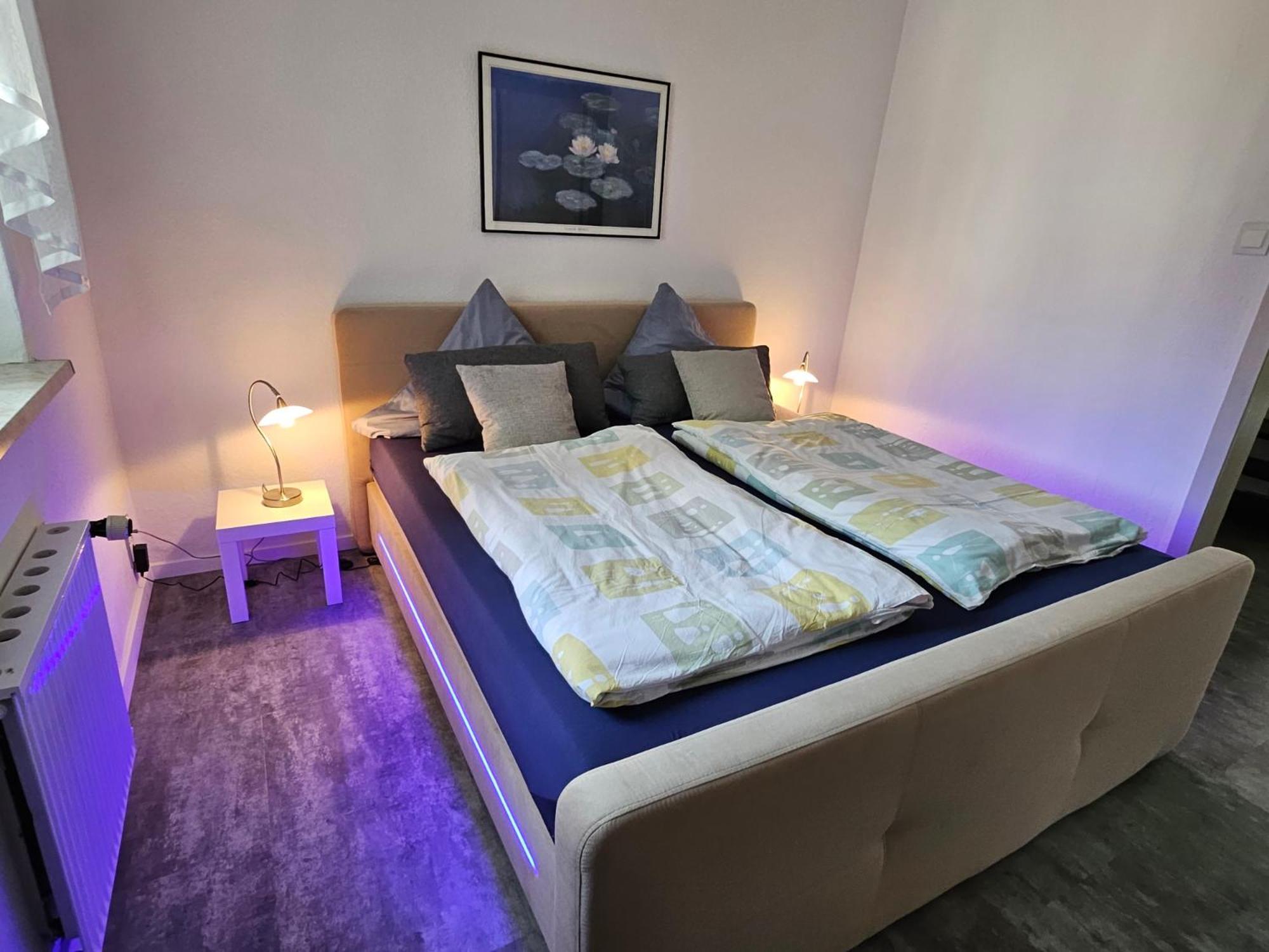 Apartments Am Saalebogen Mit Gartenterrasse, Grillkamin, Freie Parkplaetze 鲁多尔施塔特 外观 照片