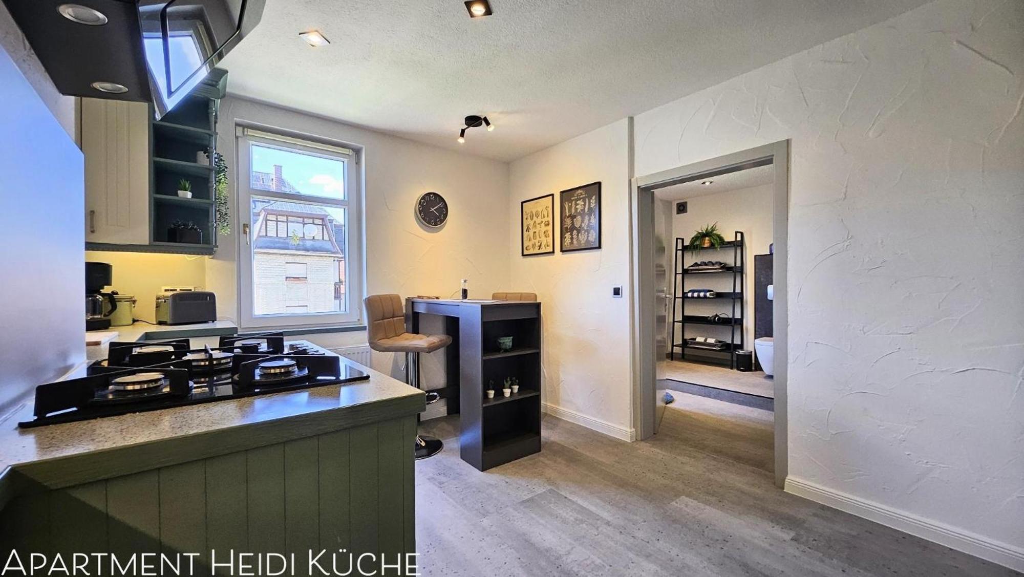 Apartments Am Saalebogen Mit Gartenterrasse, Grillkamin, Freie Parkplaetze 鲁多尔施塔特 外观 照片