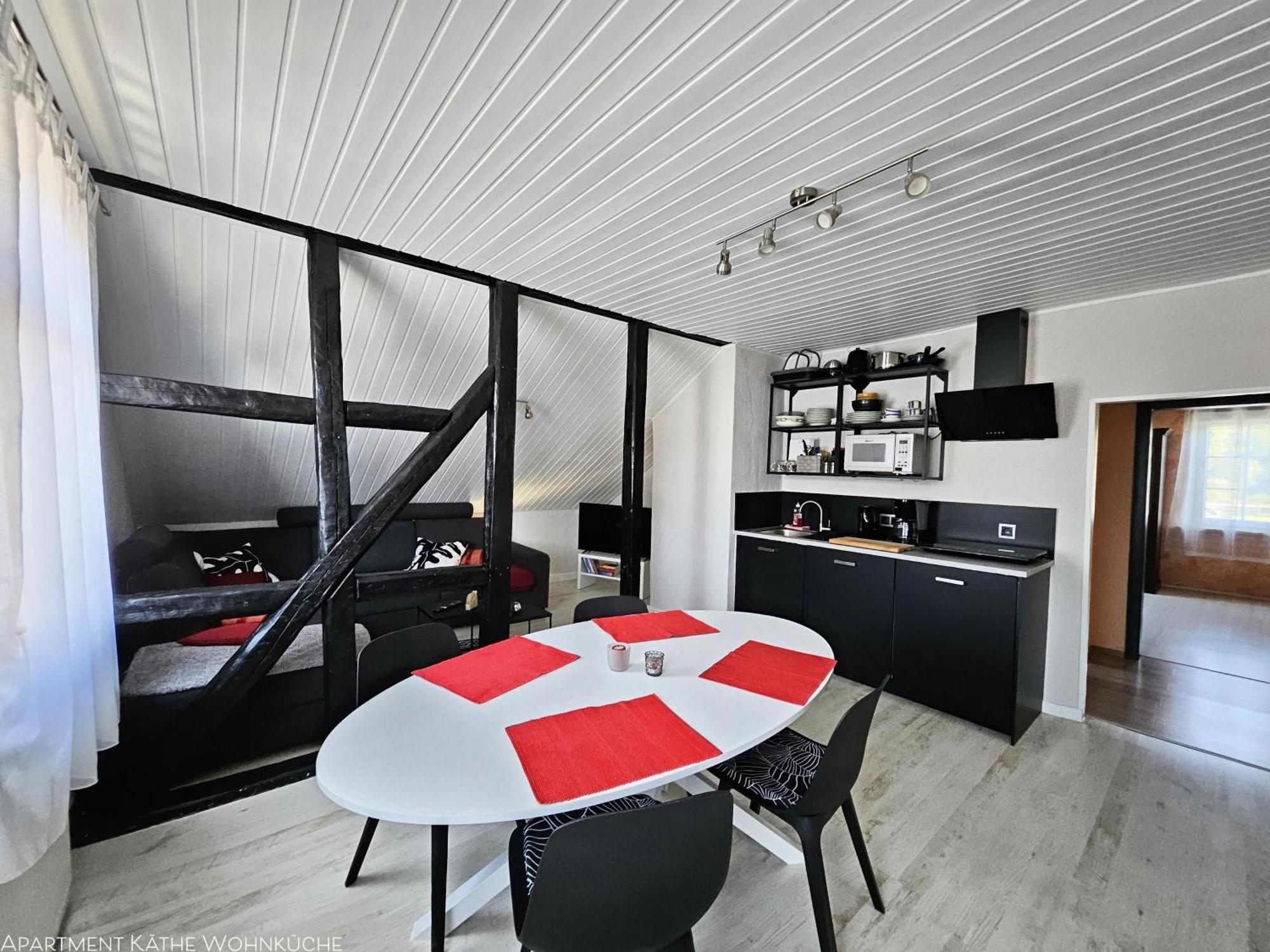 Apartments Am Saalebogen Mit Gartenterrasse, Grillkamin, Freie Parkplaetze 鲁多尔施塔特 外观 照片