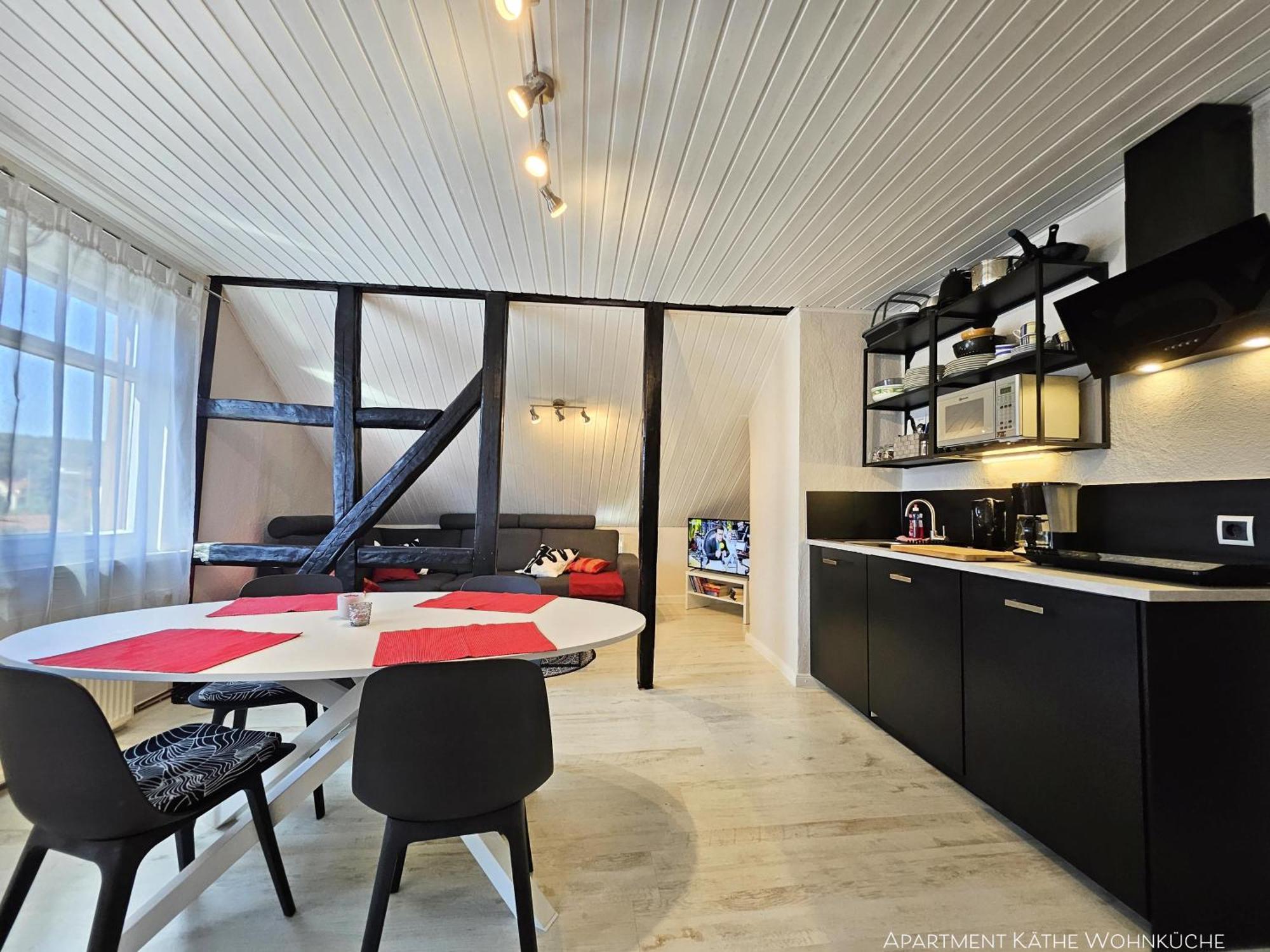 Apartments Am Saalebogen Mit Gartenterrasse, Grillkamin, Freie Parkplaetze 鲁多尔施塔特 外观 照片