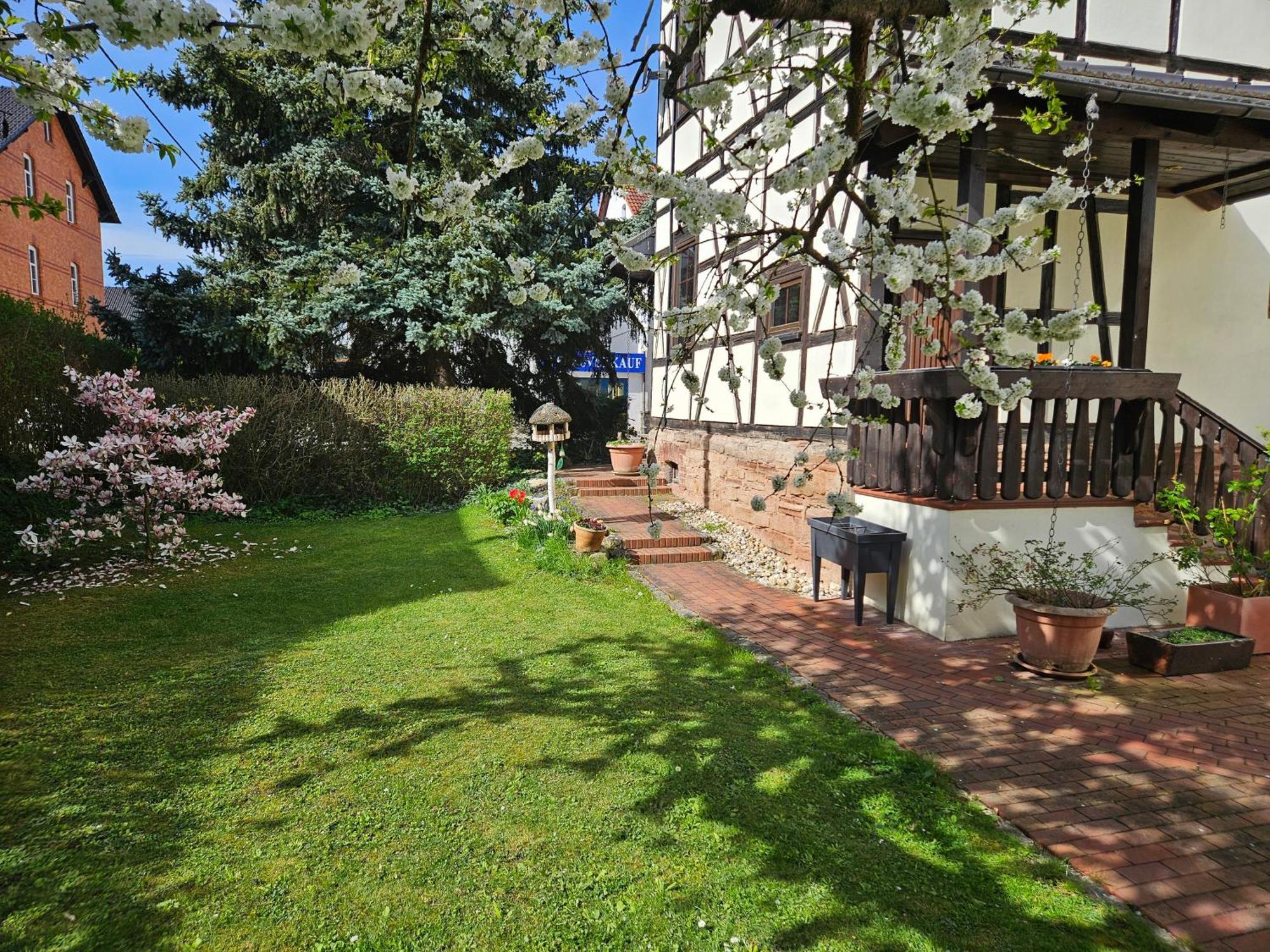 Apartments Am Saalebogen Mit Gartenterrasse, Grillkamin, Freie Parkplaetze 鲁多尔施塔特 外观 照片